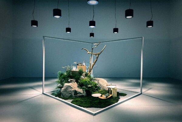 Ansorg Glorea (2024) – Set Design for commercial, geometric frame encloses natural arrangement of moss, stones, branch and products under spotlights