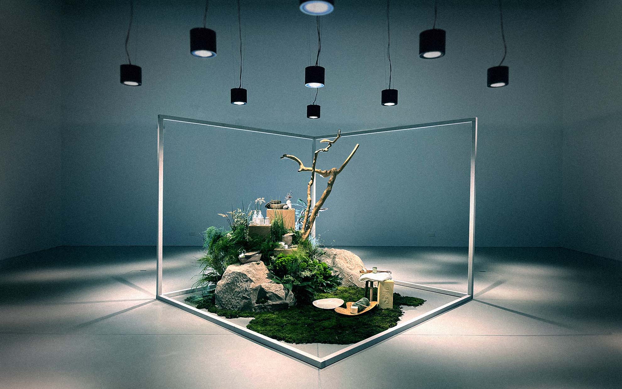 Ansorg Glorea (2024) – Set Design for commercial, geometric frame encloses natural arrangement of moss, stones, branch and products under spotlights