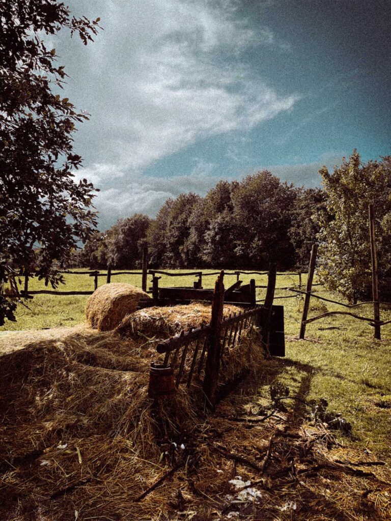 Inkubus production design