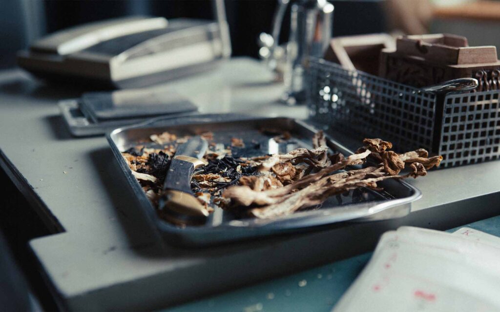Picobello (2026) – Behind the Scenes Still - production design Picobello (2026) – Production Design for short film, retro metal tray with dried mushrooms, knife and tools on cluttered work surface in soft light