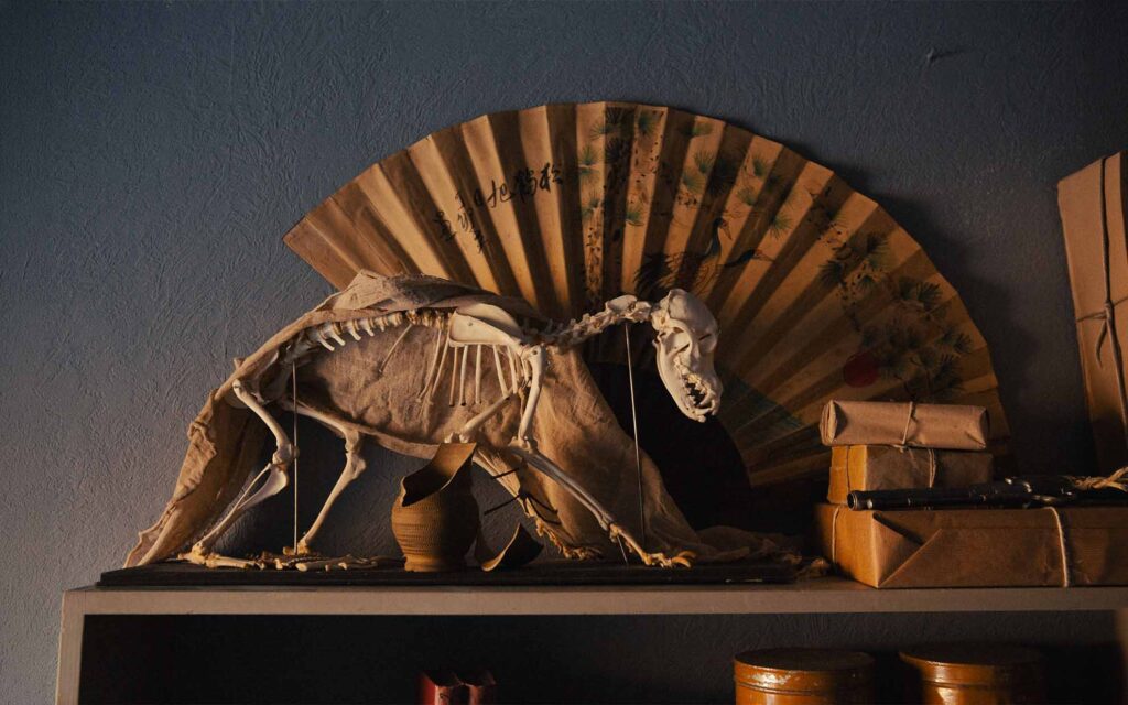 Picobello (2026) – Behind the Scenes Still - production design Picobello (2026) – Production Design for short film, small animal skeleton with draped fabric set before fan and wrapped objects on shelf