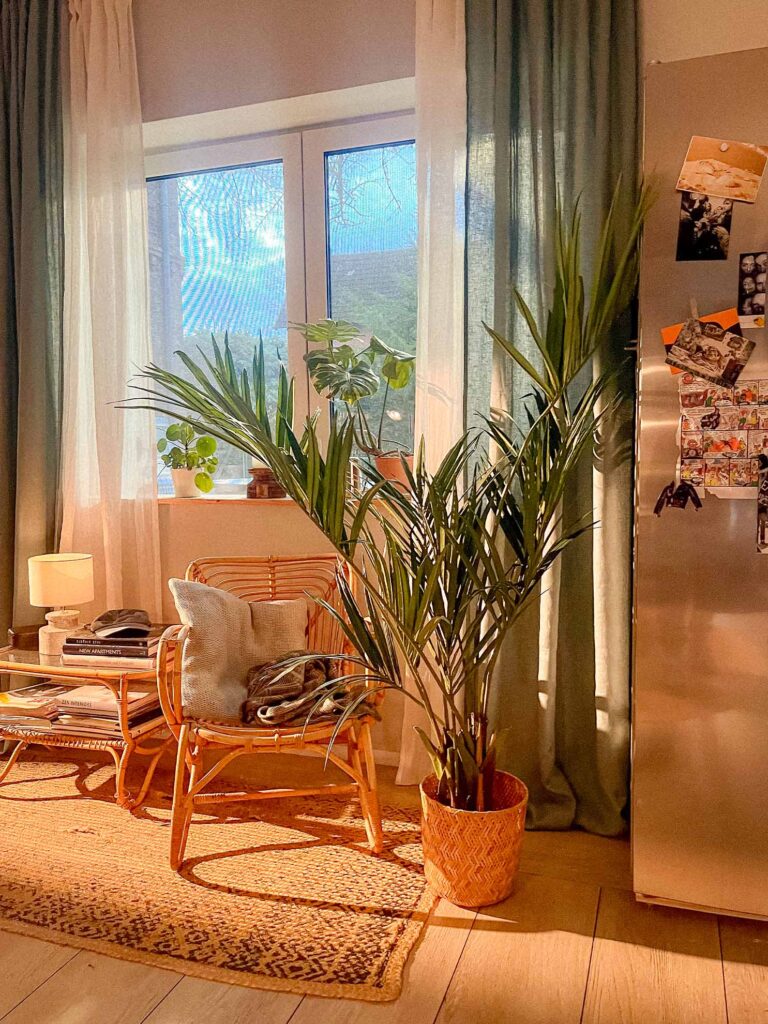 Picocolinis production design
